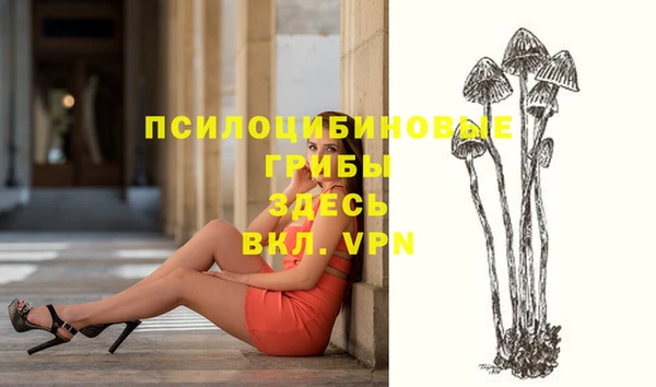 мескалин Покачи