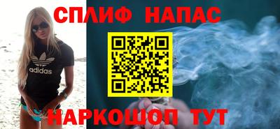 сатива Заводоуковск
